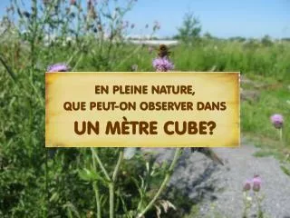 en pleine nature que peut on observer dans un m tre cube