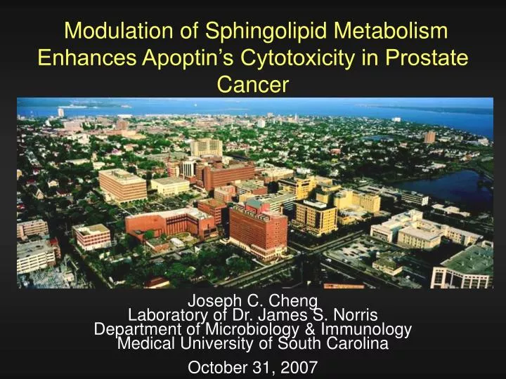 modulation of sphingolipid metabolism enhances apoptin s cytotoxicity in prostate cancer