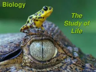 Biology