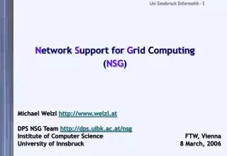 N etwork S upport for G rid Computing ( NSG )