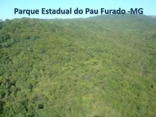 Parque Estadual do Pau Furado -MG