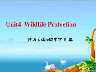 Unit4 Wildlife Protection ???????? ??