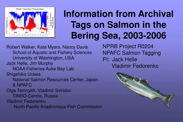 information from archival tags on salmon in the bering sea 2003 2006