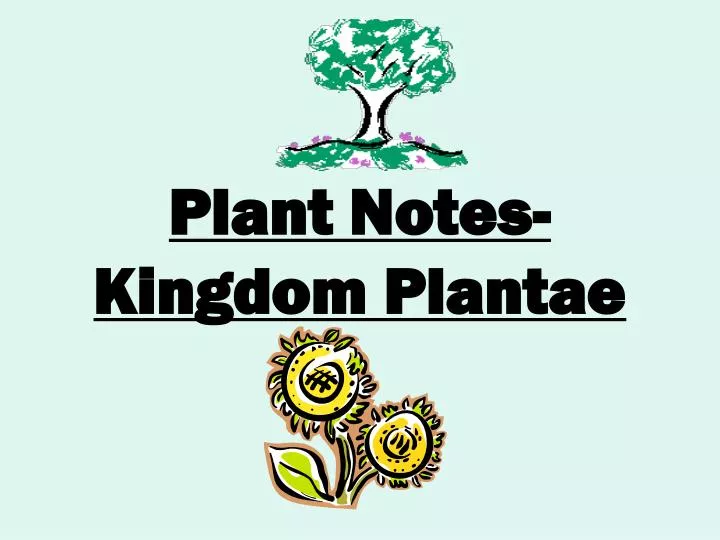 plant notes kingdom plantae