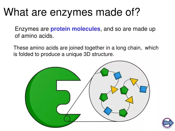 what are enzymes made of
