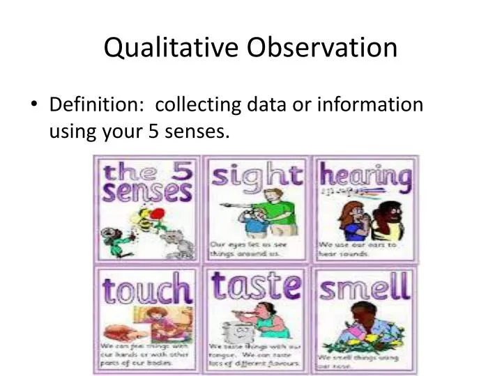 qualitative observation
