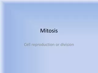 Mitosis