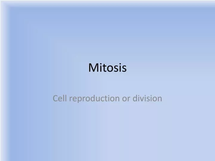 mitosis