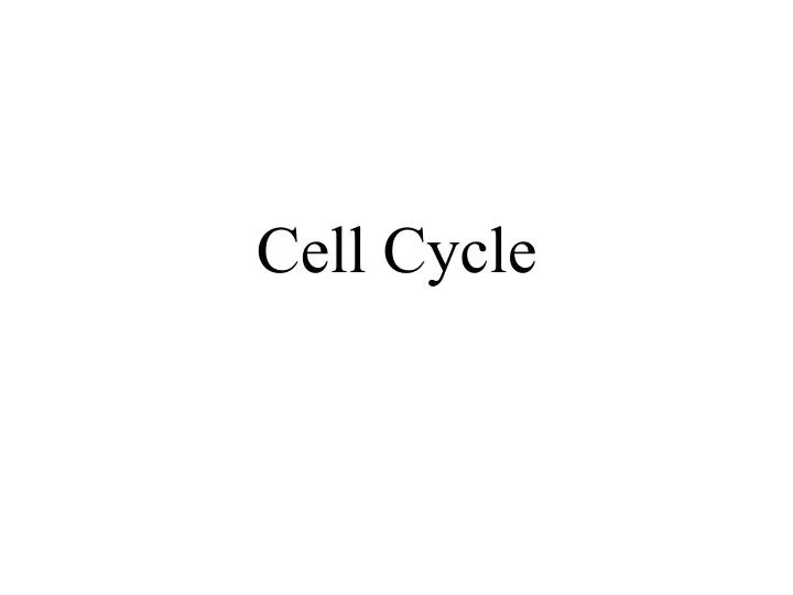 cell cycle