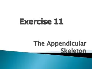 The Appendicular Skeleton