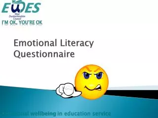Emotional Literacy Questionnaire