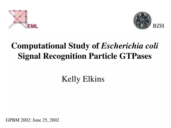 computational study of escherichia coli signal recognition particle gtpases