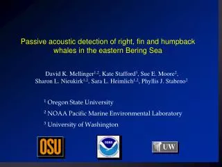 Passive acoustic detection of right, fin and humpback whales in the eastern Bering Sea
