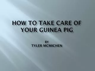 How to Take Care of Your Guinea Pig by Tyler mcmichen