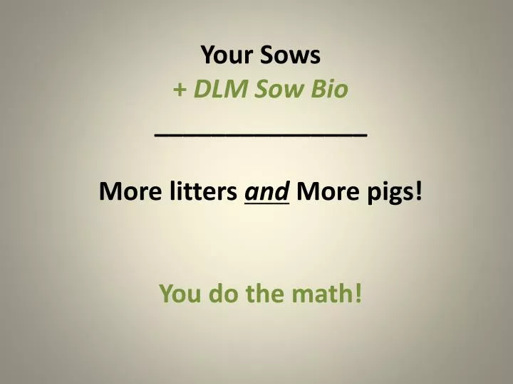 your sows dlm sow bio more litters and more pigs you do the math