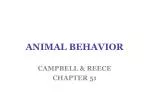 ANIMAL BEHAVIOR - slide 1