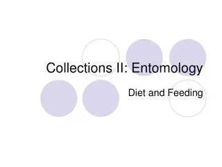 Collections II: Entomology