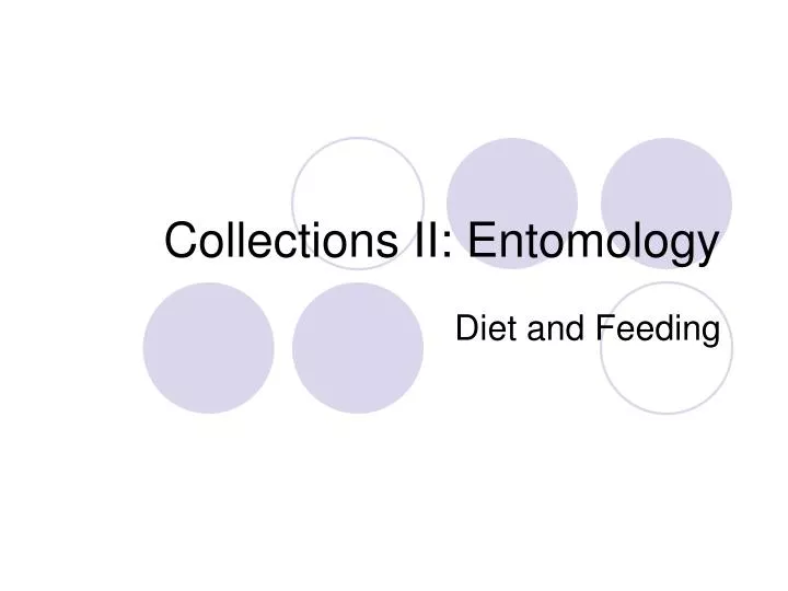 collections ii entomology