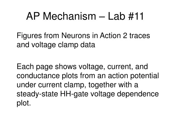 ap mechanism lab 11