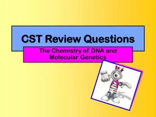 cst review questions