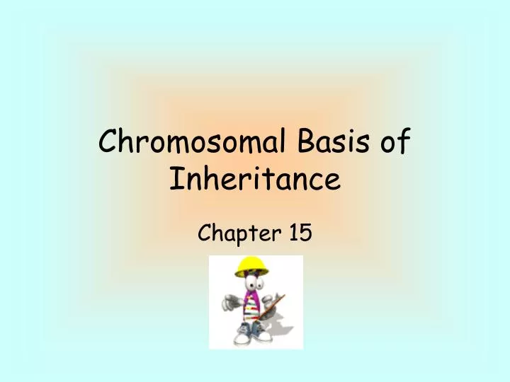 chromosomal basis of inheritance