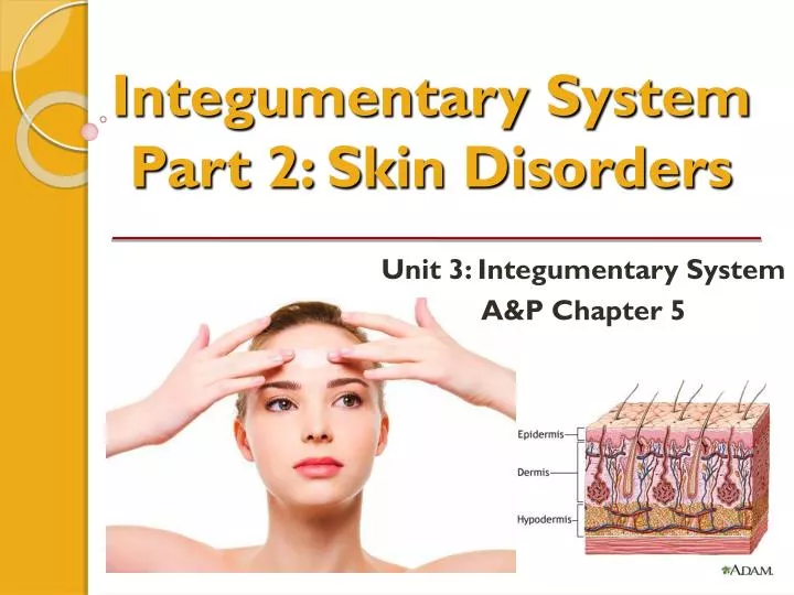 integumentary system part 2 skin disorders