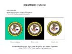 Instructions for Saving Department of Justice Documents - slide 1
