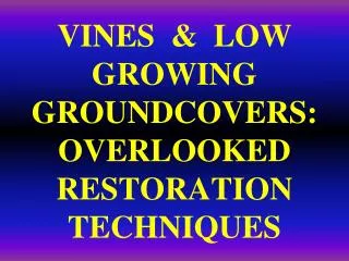 VINES &amp; LOW GROWING GROUNDCOVERS: OVERLOOKED RESTORATION TECHNIQUES