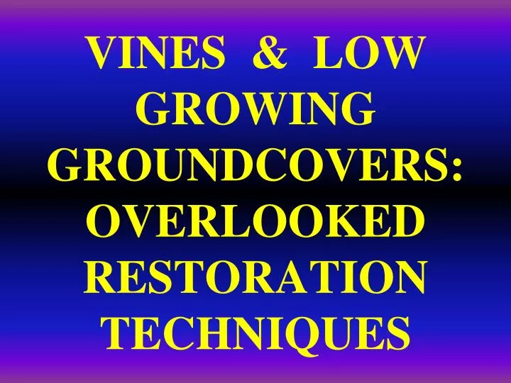 vines low growing groundcovers overlooked restoration techniques