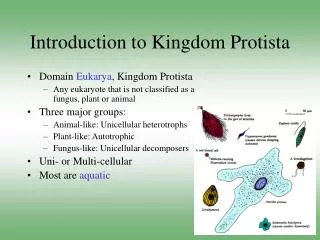 Introduction to Kingdom Protista