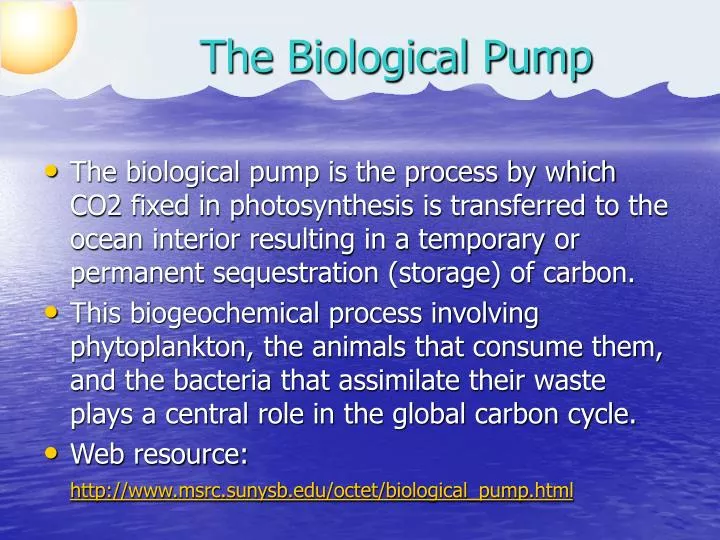 the biological pump