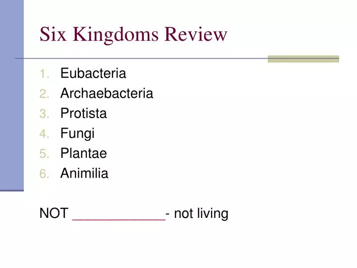six kingdoms review