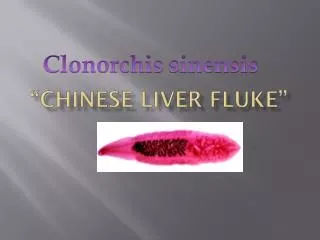 “Chinese liver fluke”