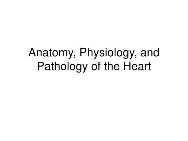 anatomy physiology and pathology of the heart