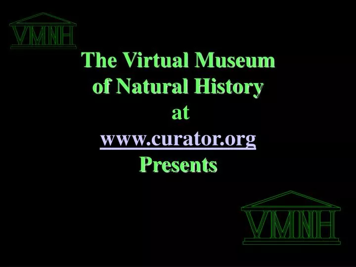 the virtual museum of natural history at www curator org presents