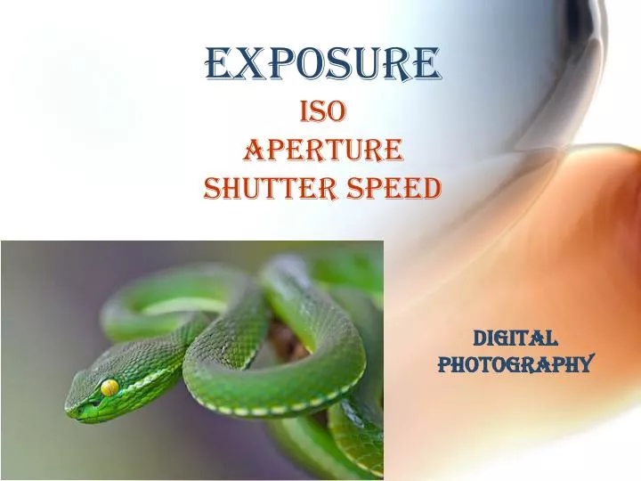 exposure iso aperture shutter speed
