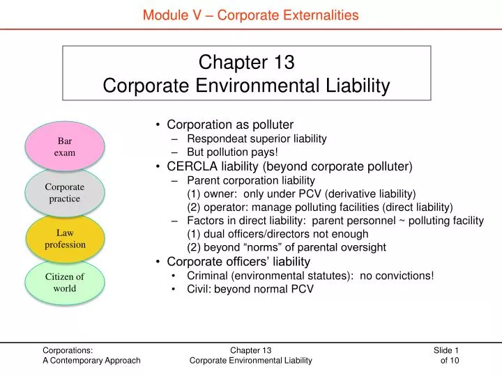 chapter 13 corporate environmental liability