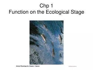 Chp 1 Function on the Ecological Stage