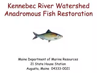 Kennebec River Watershed Anadromous Fish Restoration
