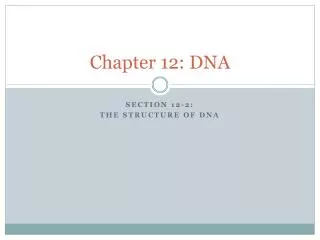 Chapter 12: DNA
