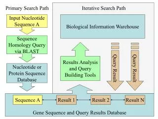 Gene Sequence and Query Results Database