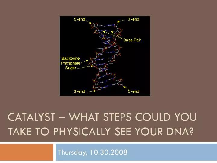 catalyst what steps could you take to physically see your dna