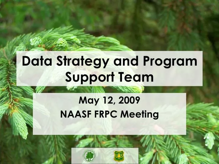 data strategy and program support team