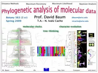 Botany 563: Phylogenetic Analysis of Molecular Data