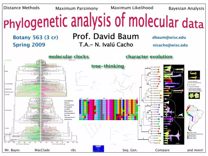 botany 563 phylogenetic analysis of molecular data