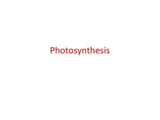 Photosynthesis