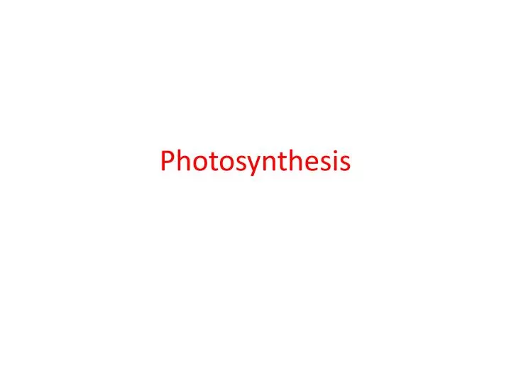 photosynthesis