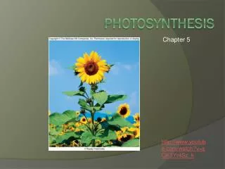 Photosynthesis