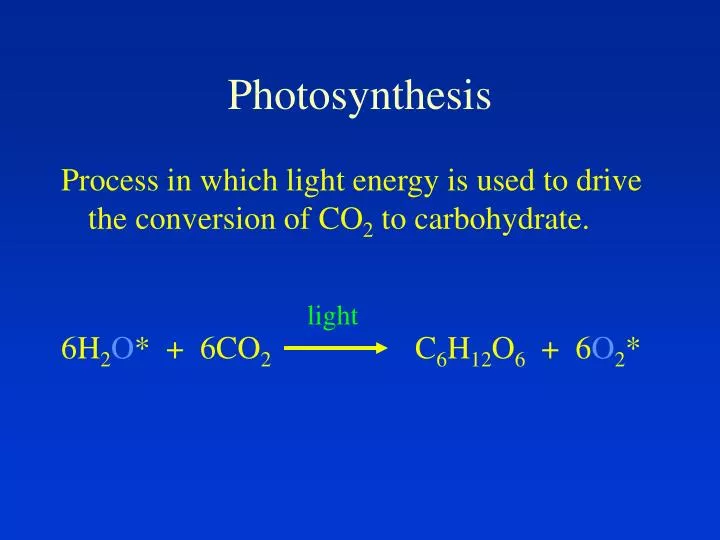 photosynthesis