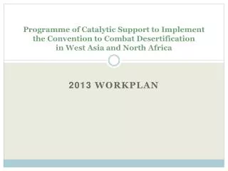 2013 Workplan
